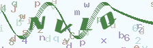 点击切换